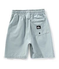 Quiksilver Little Boys Taxer Amphibian Shorts