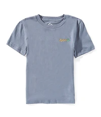 Quiksilver Little Boys Short Sleeve Quik Glare T-Shirt