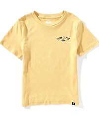 Quiksilver Little Boys Short Sleeves Seagull Stand T-Shirt