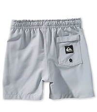 Quiksilver Little Boys Taxer Amphibian Shorts