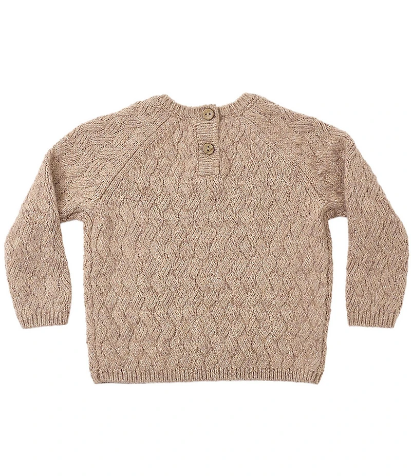 Quincy Mae Baby Boys Heathered Sweater