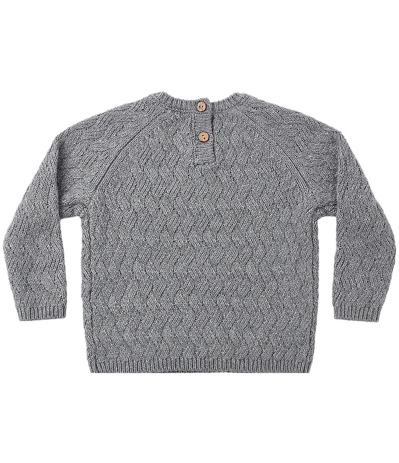 Quincy Mae Baby Boys Heathered Sweater