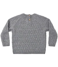 Quincy Mae Baby Boys Heathered Sweater
