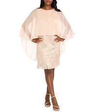 R & M Richards Embroidered Sequin Chiffon Sheer Overlay Dress