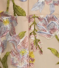 R & M Richards Petite Size Floral Embroidered Mesh Cap Sleeve V-Neck Gown