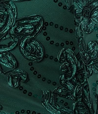 R & M Richards Plus Size Embroidered Soutache Sequin Power Mesh 3/4 Balloon Sleeves Gown