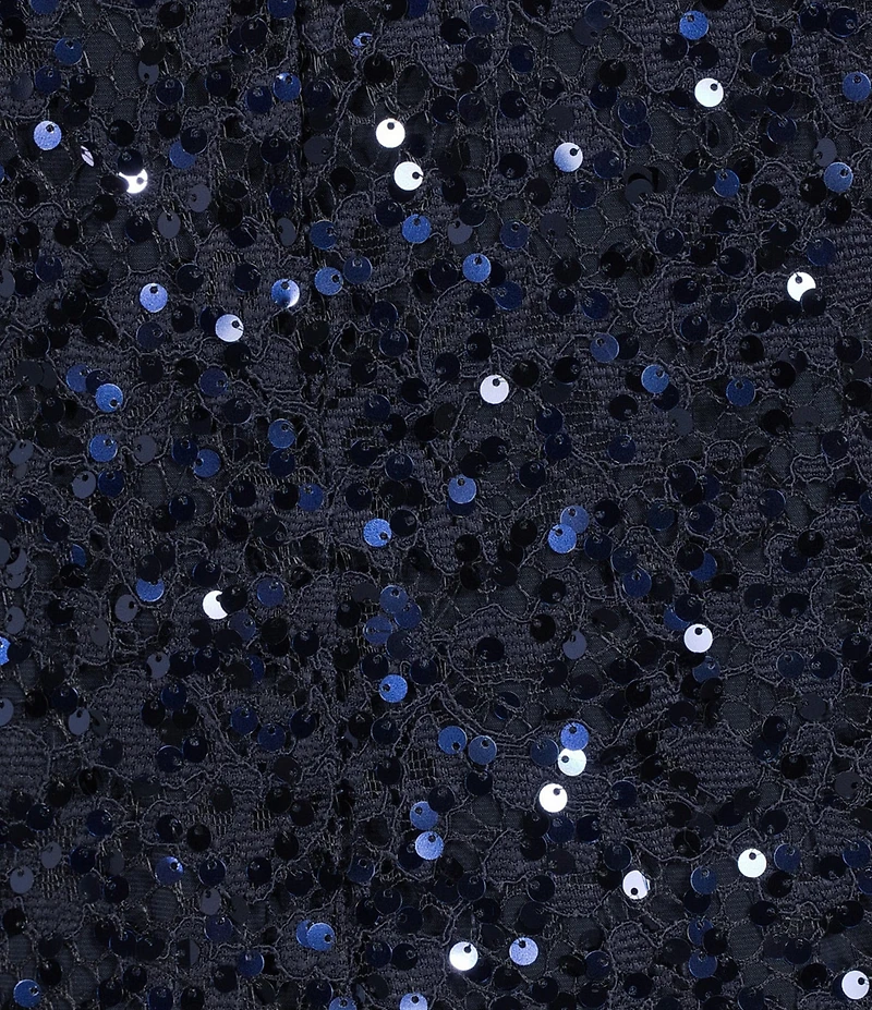 R & M Richards Plus Size Sequin Floral Scallop Lace Long Sleeve Jacket Dress