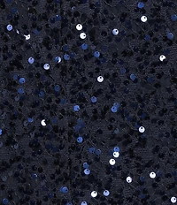 R & M Richards Plus Size Sequin Floral Scallop Lace Long Sleeve Jacket Dress