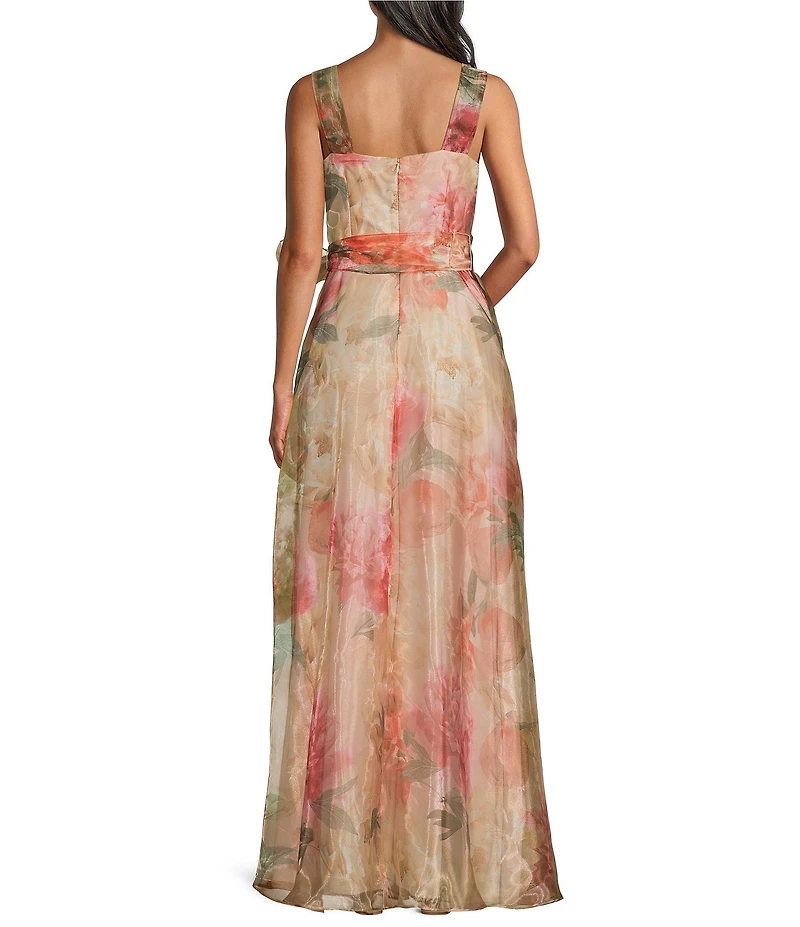 R & M Richards Sleeveless Organza Dress