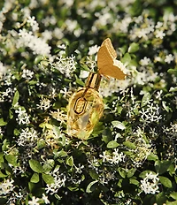 Rabanne Million Gold for Her Eau de Parfum 3-Pc. Limited Edition Gift Set