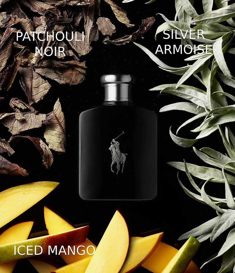 Ralph Lauren Polo Black Eau de Toilette Spray