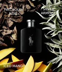 Ralph Lauren Polo Black Eau de Toilette Spray