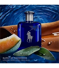 Ralph Lauren World of Polo Men's 3-Piece Eau de Toilette Set