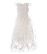 Rare Editions Big Girls Scalloped Embroidered Mesh Gown