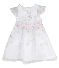 Rare Editions Baby Girls Floral Embroidered Glitter-Accented Mesh Fit & Flare Dress