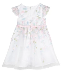 Rare Editions Baby Girls Floral Embroidered Glitter-Accented Mesh Fit & Flare Dress