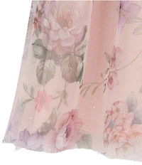 Rare Editions Baby Girls Floral Mesh Ruffle Babydoll Dress