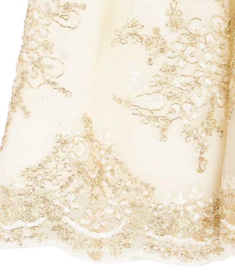 Rare Editions Baby Girls Long-Sleeve Velvet-Bodice/Embroidered-Skirted Fit-And-Flare Dress