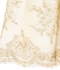 Rare Editions Baby Girls Long-Sleeve Velvet-Bodice/Embroidered-Skirted Fit-And-Flare Dress