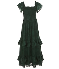 Rare Editions Big Girls Short Sleeve Burnout Chiffon Long Dress