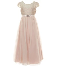Rare Editions Big Girls Short-Sleeve Embroidered/Mesh-Overlay-Skirted Long Dress