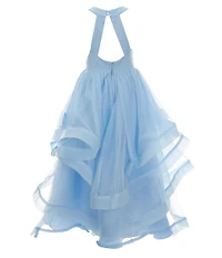 Rare Editions Big Girls Sleeveless Beaded Mesh Ballgown