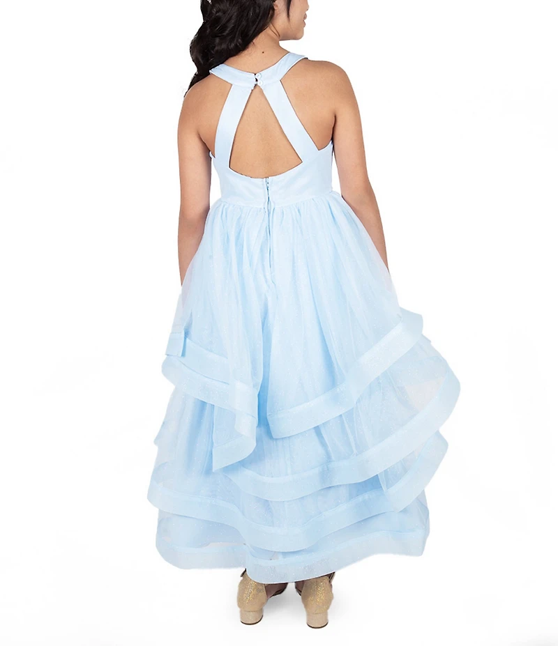 Rare Editions Big Girls Sleeveless Beaded Mesh Ballgown