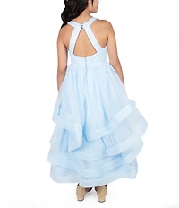 Rare Editions Big Girls Sleeveless Beaded Mesh Ballgown
