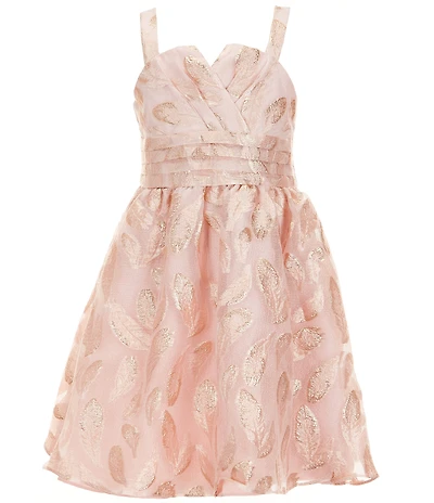 Rare Editions Big Girls Sleeveless Burnout Organza Fit & Flare Dress
