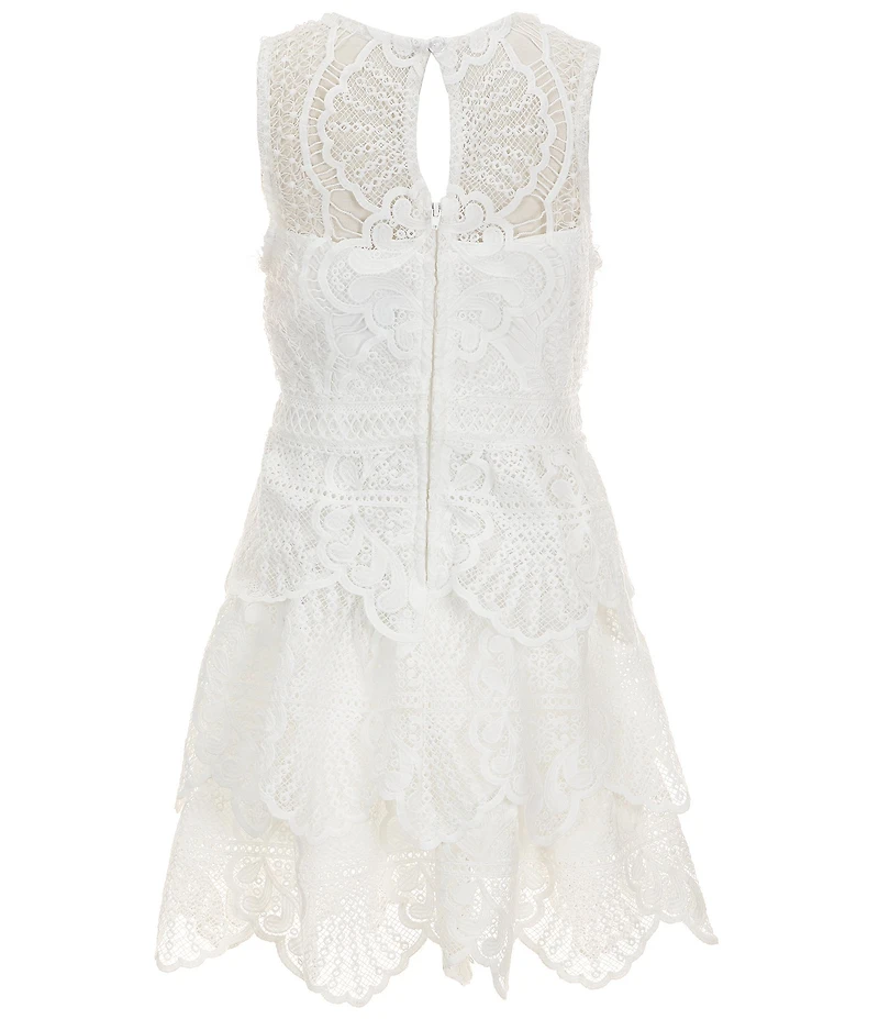 Rare Editions Big Girls Sleeveless Crocheted-Peplum Lace Fit & Flare Dress