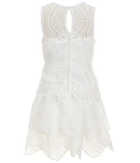 Rare Editions Big Girls Sleeveless Crocheted-Peplum Lace Fit & Flare Dress