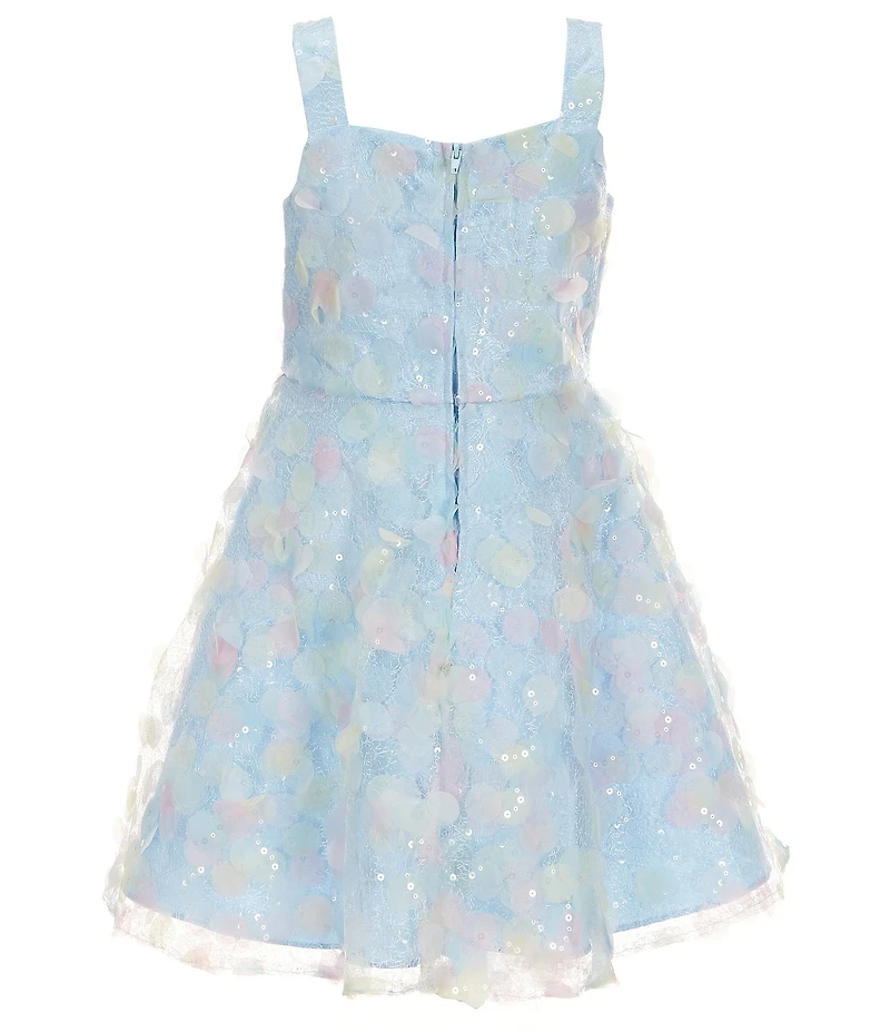 Rare Editions Big Girls Sleeveless Embroidered-Soutache Mesh Fit & Flare Dress