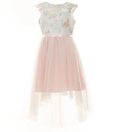 Rare Editions Big Girls Sleeveless Floral-Embroidered Illusion Mesh Bodice/Mesh-Skirted High-Low-Hem Ballgown