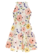 Rare Editions Big Girls Sleeveless Floral-Embroidered Mesh Fit-And-Flare Dress