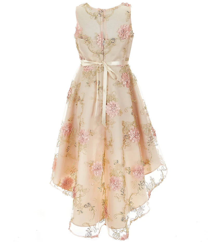 Rare Editions Big Girls Sleeveless Floral-Embroidered Soutache High-Low-Hem Fit-And-Flare Dress