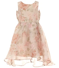 Rare Editions Big Girls Sleeveless Floral Organza Fit-And-Flare Dress