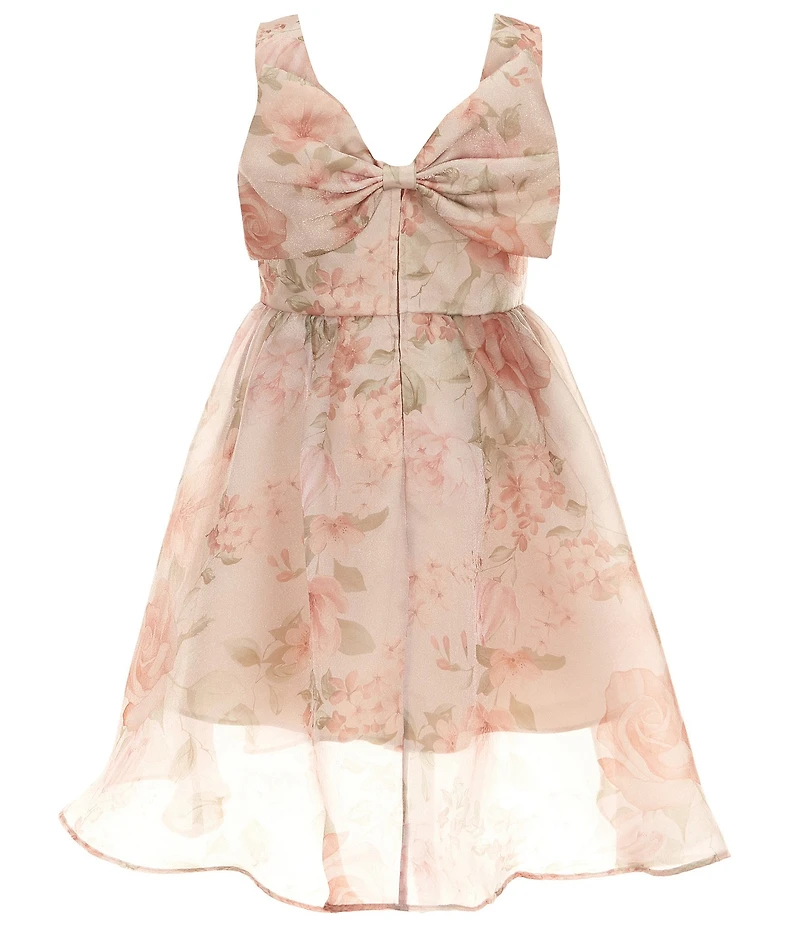 Rare Editions Big Girls Sleeveless Floral Organza Fit-And-Flare Dress