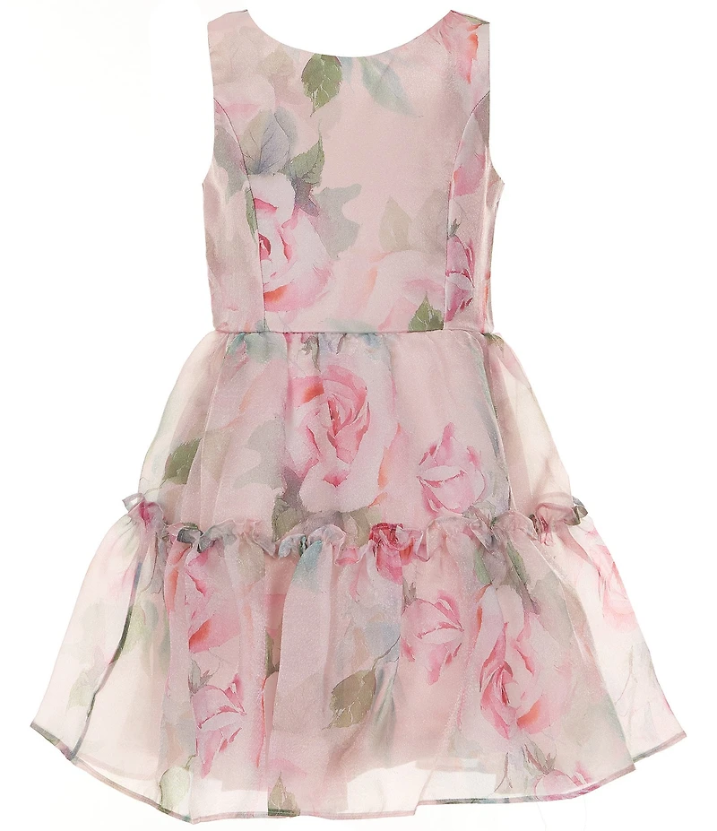 Rare Editions Big Girls Sleeveless Floral Printed Organza Fit-And-Flare Dress