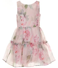 Rare Editions Big Girls Sleeveless Floral Printed Organza Fit-And-Flare Dress