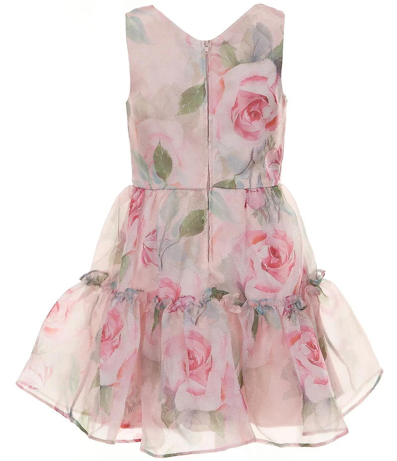 Rare Editions Big Girls Sleeveless Floral Printed Organza Fit-And-Flare Dress