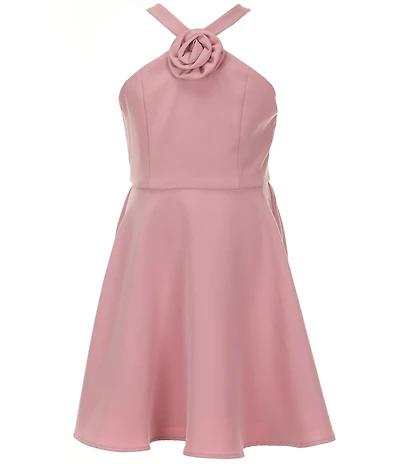 Rare Editions Big Girls Sleeveless Rosette-Appliqued Mikado Fit-And-Flare Dress