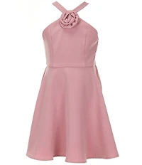 Rare Editions Big Girls Sleeveless Rosette-Appliqued Mikado Fit-And-Flare Dress