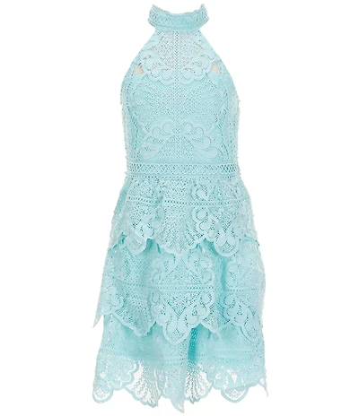 Rare Editions Big Girls Sleeveless Schiffli-Embroidered Chemical-Lace Fit-And-Flare Dress