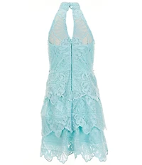 Rare Editions Big Girls Sleeveless Schiffli-Embroidered Chemical-Lace Fit-And-Flare Dress