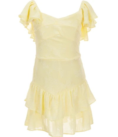 Rare Editions Big Girls Flutter Sleeve Burnout Organza Sweetheart Neckline Drop Waist Dress