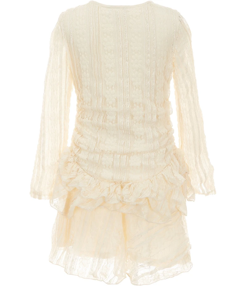 Rare Editions Big Girls Long Sleeve Drop Waist Ruffle Lace Dress