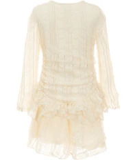Rare Editions Big Girls Long Sleeve Drop Waist Ruffle Lace Dress