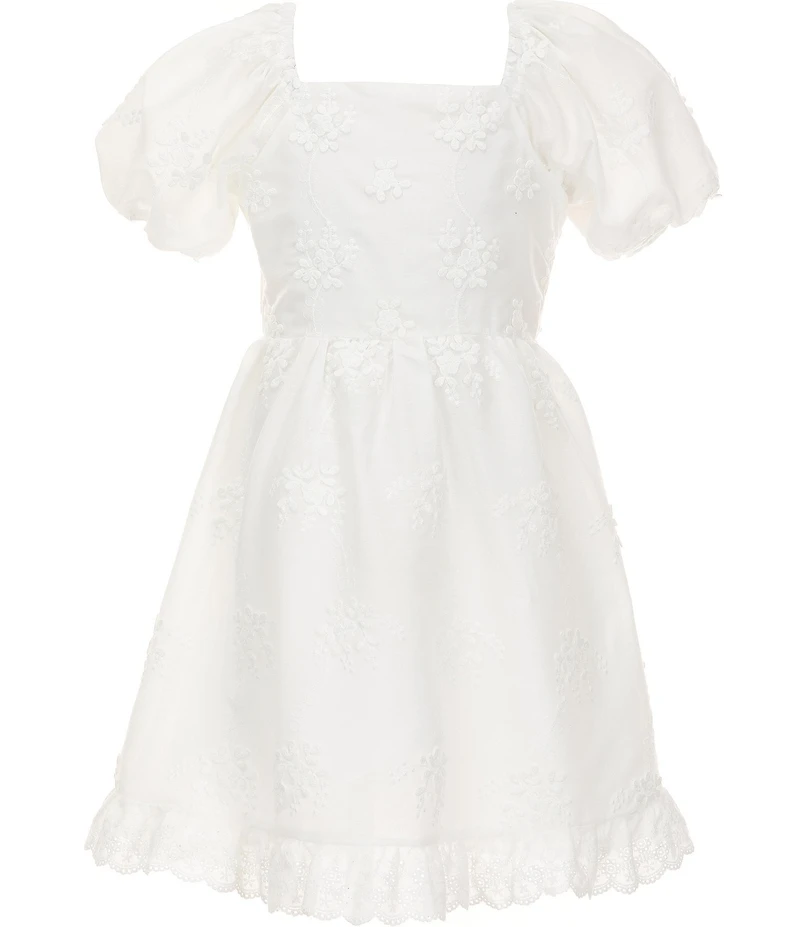 Rare Editions Big Girls Bubble Sleeve All-Over Floral Eyelet Embroidery Ruffle Hem Mini Dress