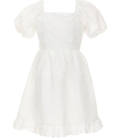 Rare Editions Big Girls Bubble Sleeve All-Over Floral Eyelet Embroidery Ruffle Hem Mini Dress