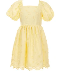 Rare Editions Big Girls Puff-Sleeve Three-Dimensional Floral-Embroidered Appliqued Fit-And-Flare Dress